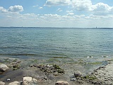 DSCF3532