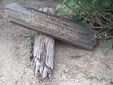 DSCF3767