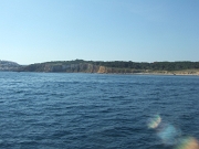 DSCF7654