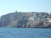 DSCF7667
