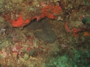DSCF7692