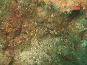 DSCF7693