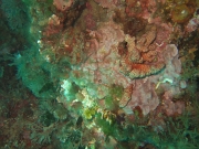 DSCF7694