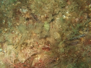 DSCF7695
