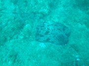 DSCF7700