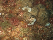DSCF7707