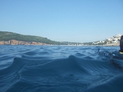 DSCF7712