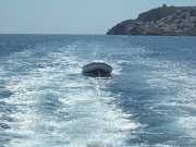 DSCF7737