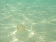 DSCF7756