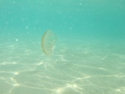 DSCF7757